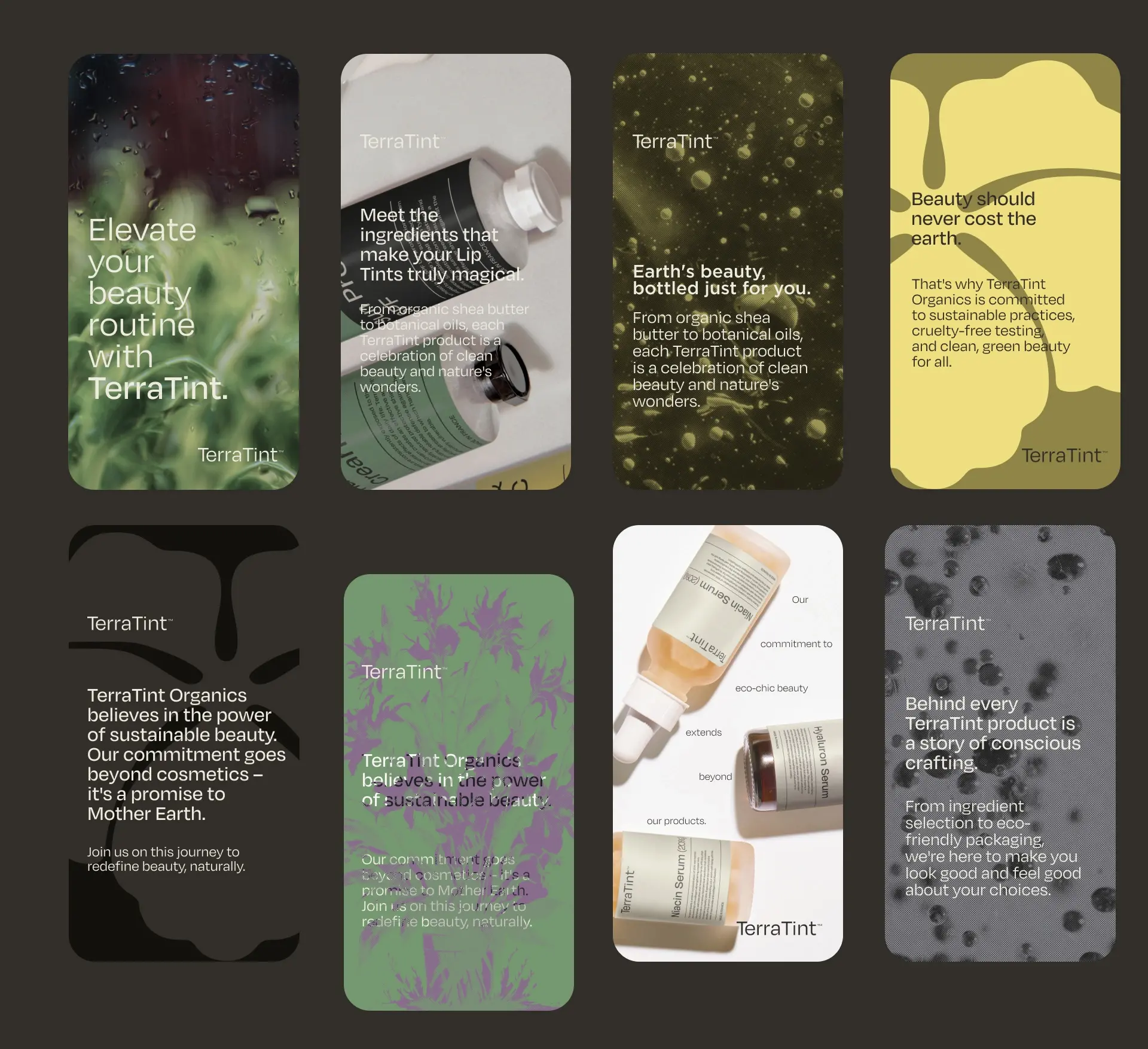 Blogduwebdesign graphisme inspiration branding cosmetiques terratint 2