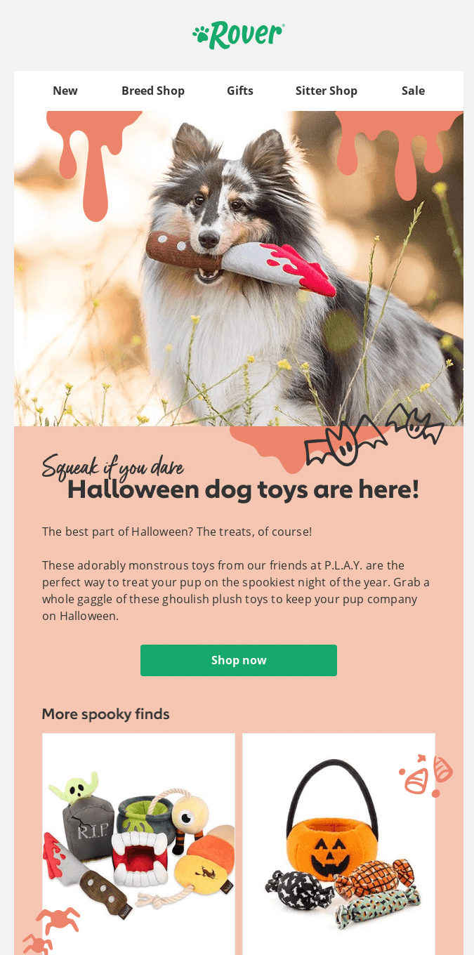 Blogduwebdesign newsletter halloween guide pratique produits theme rover