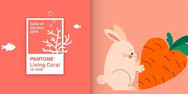 20 créations graphiques et web pour découvrir le nouveau PANTONE 2019 – Living Corail