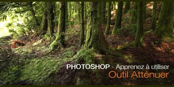 Tuto photoshop gratuit l outil attenuer de photoshop