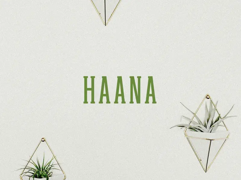 Typographie haana