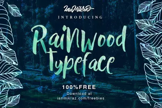 Typographie rainwood typeface