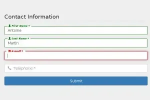 Les placeholders ont-ils le même rôle que les labels ?